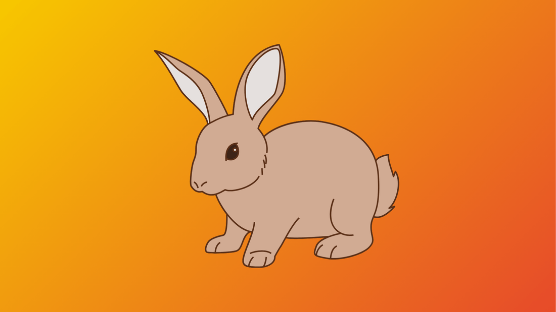 Top Rabbit Themed Presents to Delight Your Loved Ones