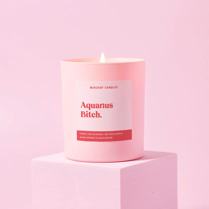 Aquarius Bitch (Star Sign Candle)
