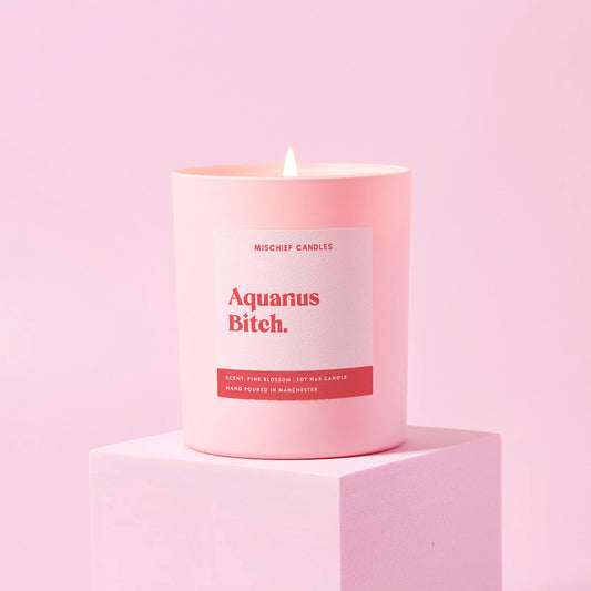 Aquarius Bitch (Star Sign Candle)