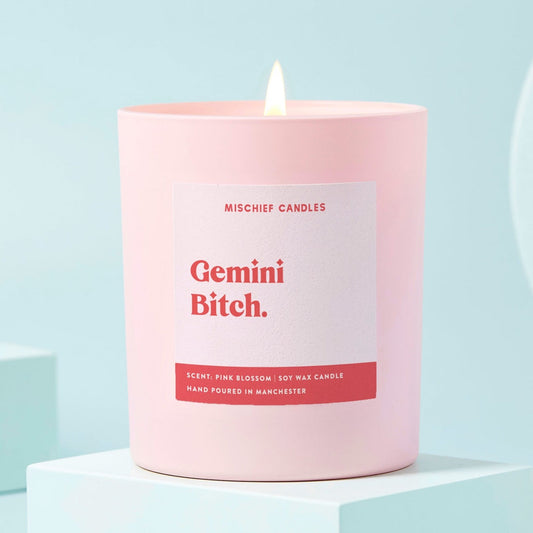 Gemini Bitch (Star Sign Candles)