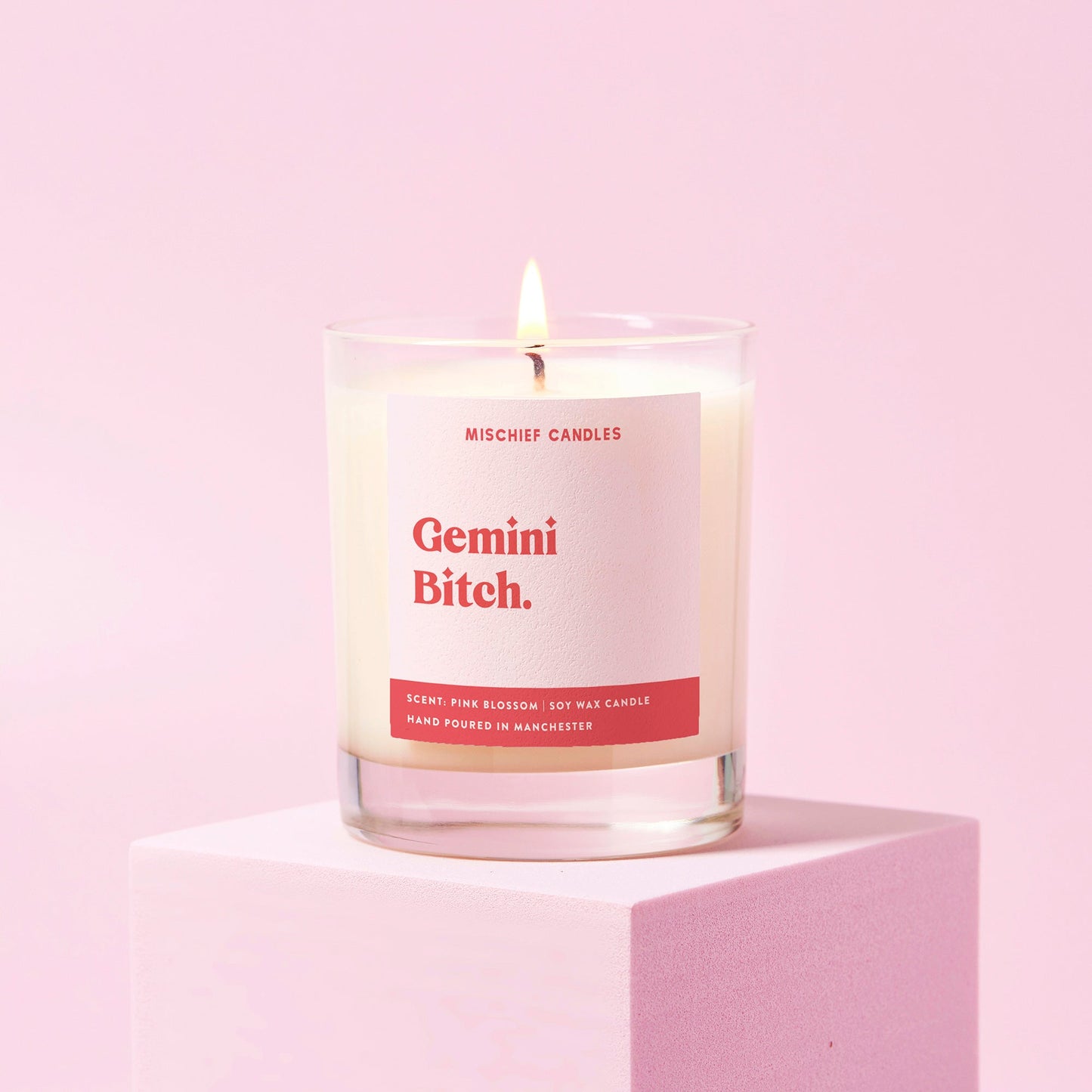 Gemini Bitch (Star Sign Candles)