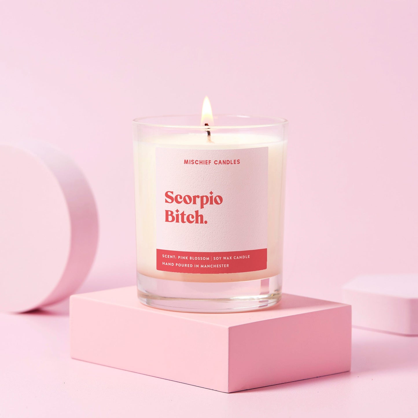 Scorpio Bitch (Star Sign Candle)