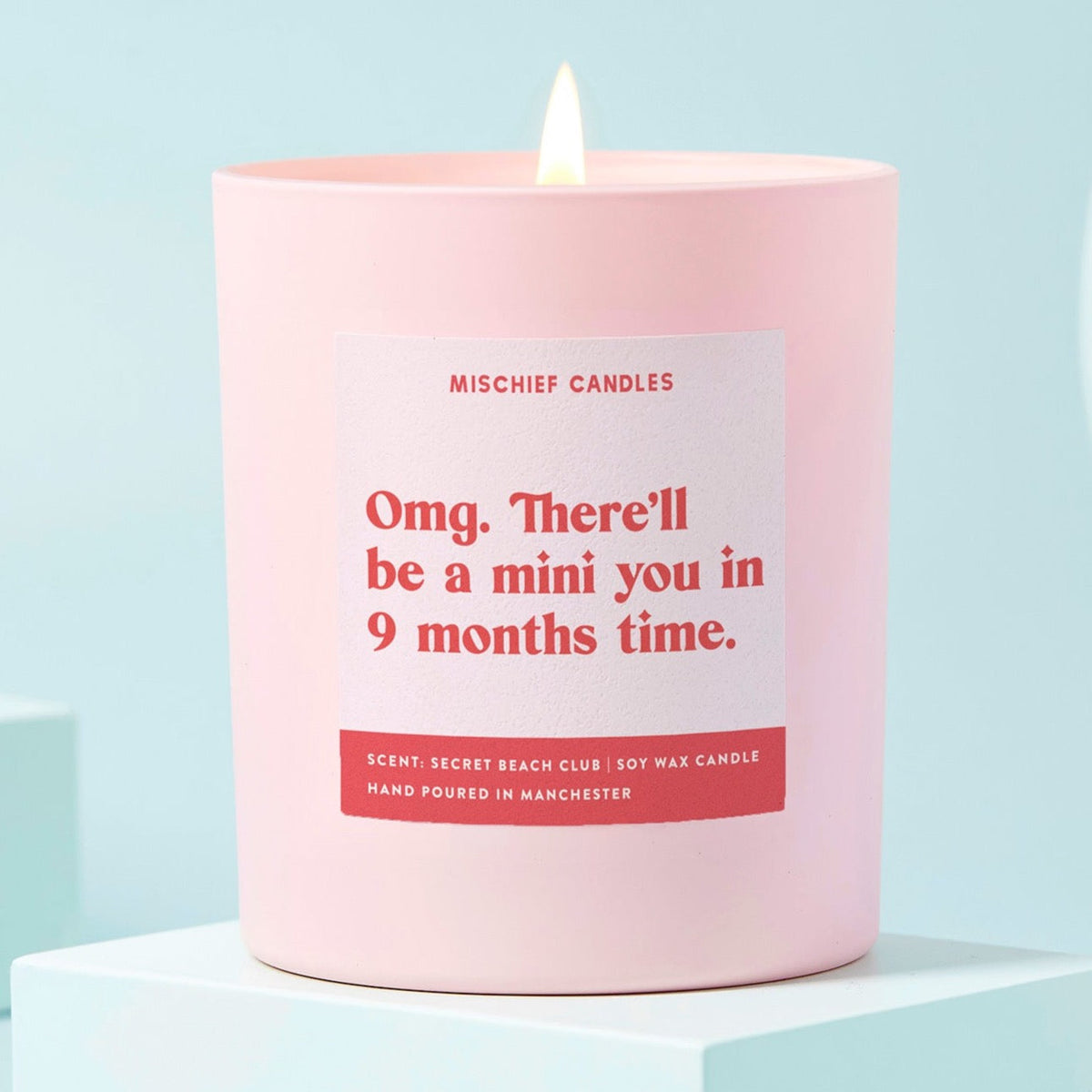 Omg A Mini You in 9 Months Candle