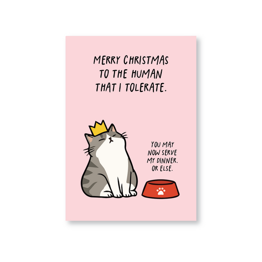 Merry Christmas to the Human That I Tolerate Cat Christmas Card