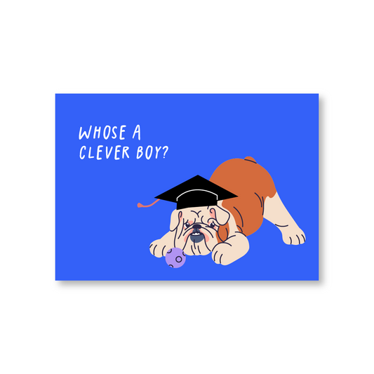 Whose a Clever Boy (Funny Graduation Card)